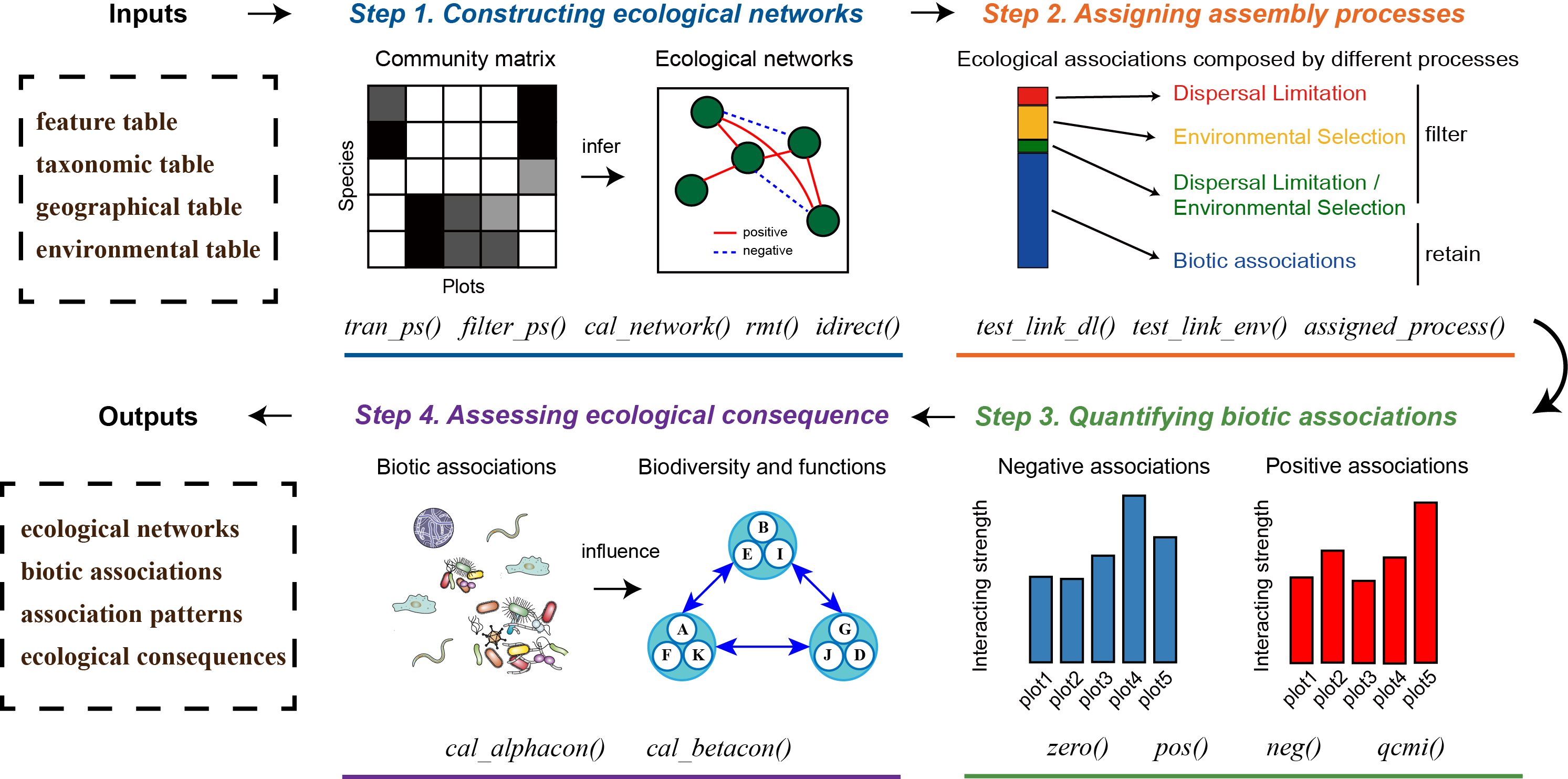 Schizophrenia and obesity: May the gut microbiota serve as a link for the  pathogenesis? - Wu - 2023 - iMeta - Wiley Online Library