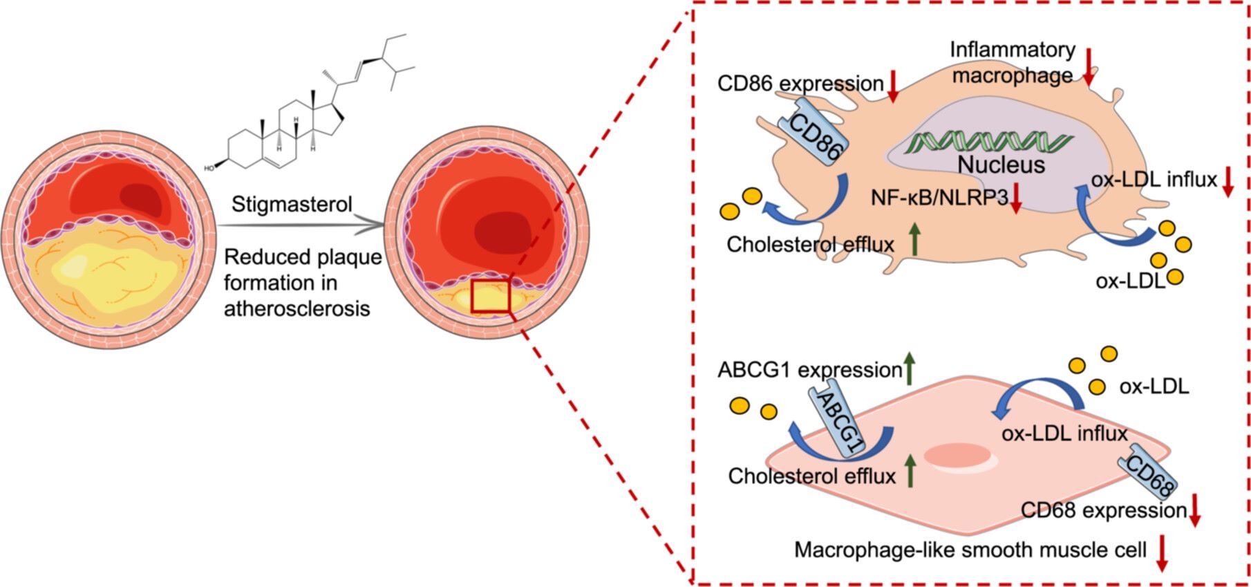 Description unavailable