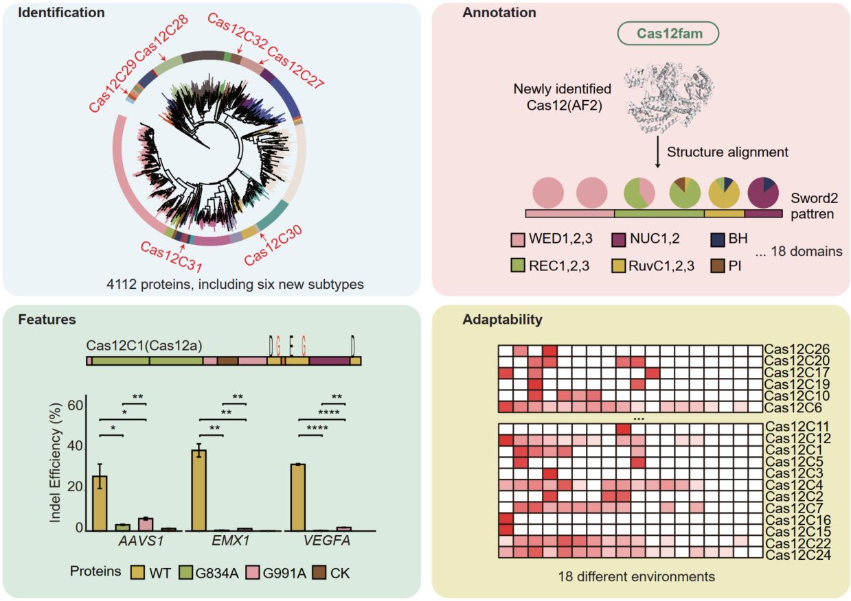 Description unavailable