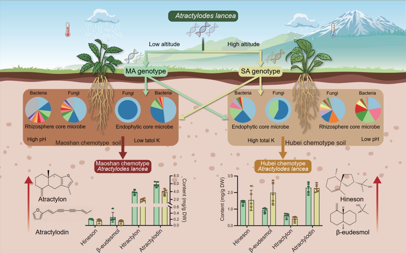 Description unavailable