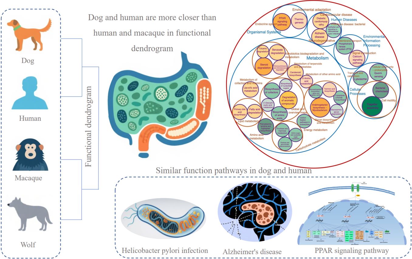 Description unavailable