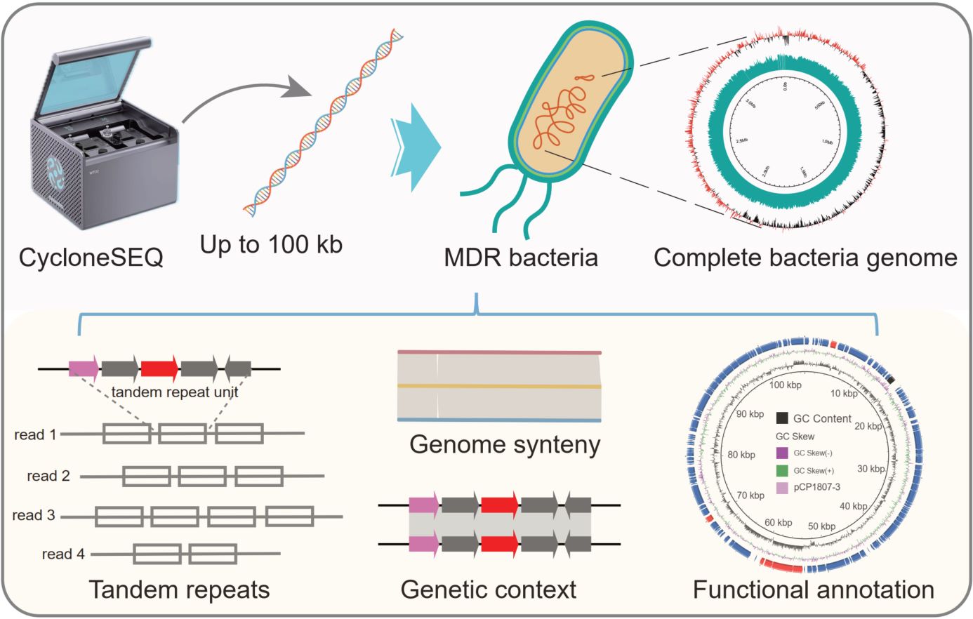 Description unavailable